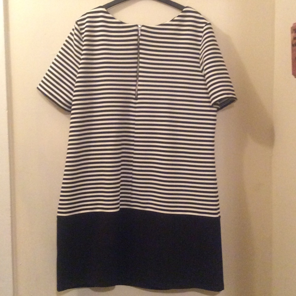 Wallis Dress size 14 NWT - Picture 8 of 10
